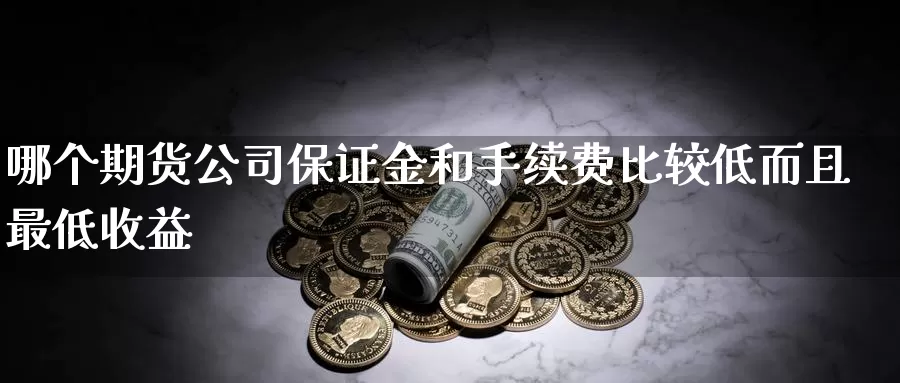 哪个期货公司保证金和手续费比较低而且最低收益