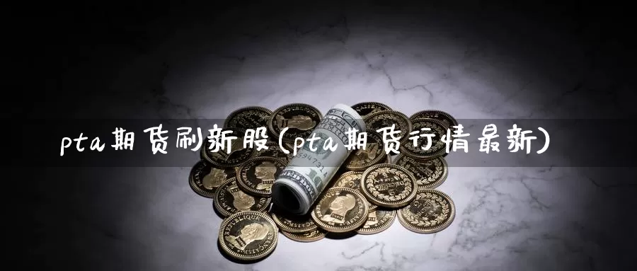 pta期货刷新股(pta期货行情最新)