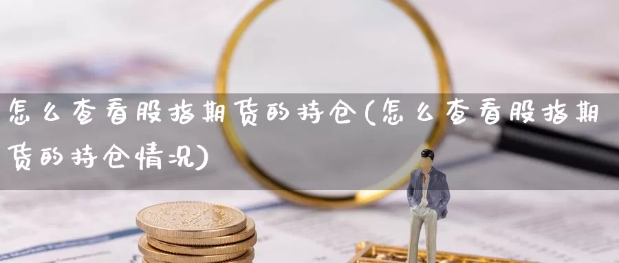 怎么查看股指期货的持仓(怎么查看股指期货的持仓情况)