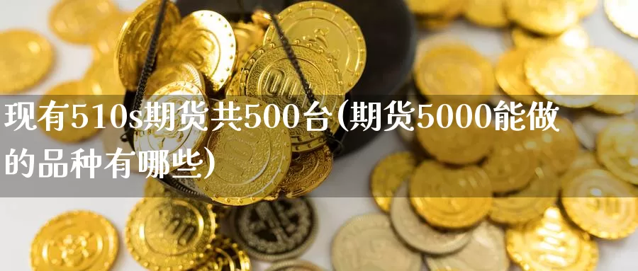 现有510s期货共500台(期货5000能做的品种有哪些)