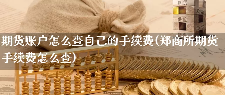 期货账户怎么查自己的手续费(郑商所期货手续费怎么查)