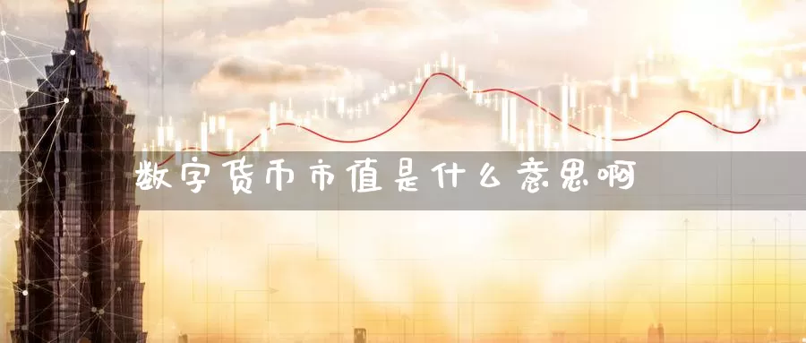 数字货币市值是什么意思啊