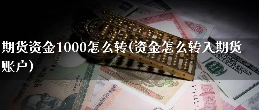 期货资金1000怎么转(资金怎么转入期货账户)