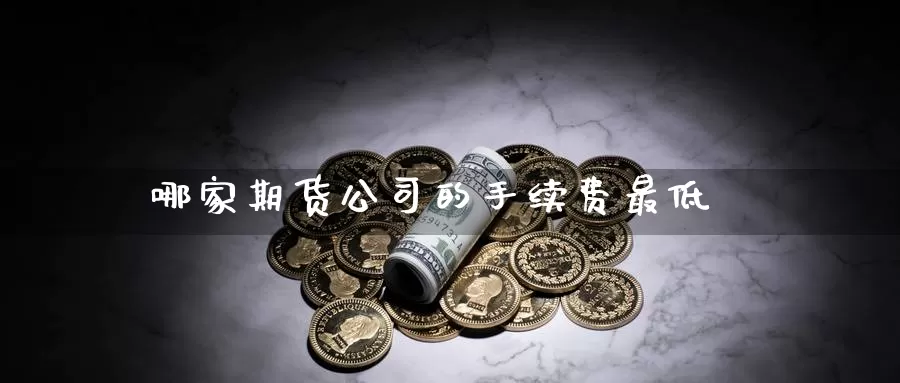 哪家期货公司的手续费最低