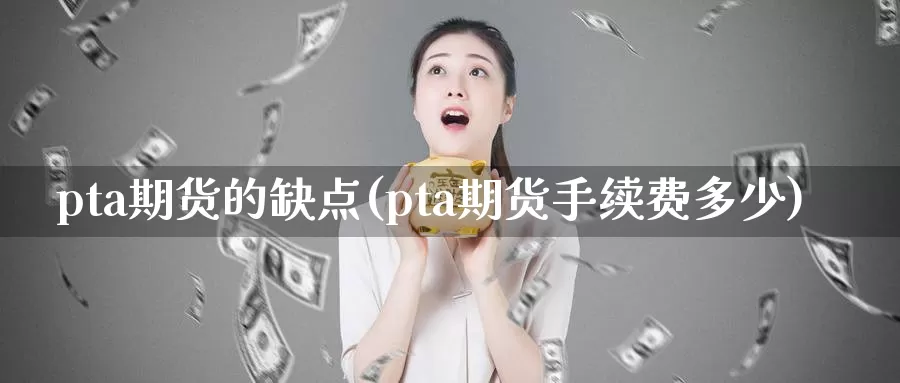 pta期货的缺点(pta期货手续费多少)