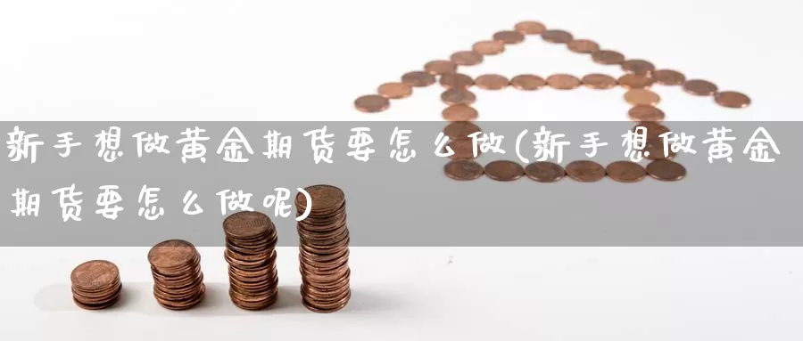 新手想做黄金期货要怎么做(新手想做黄金期货要怎么做呢)