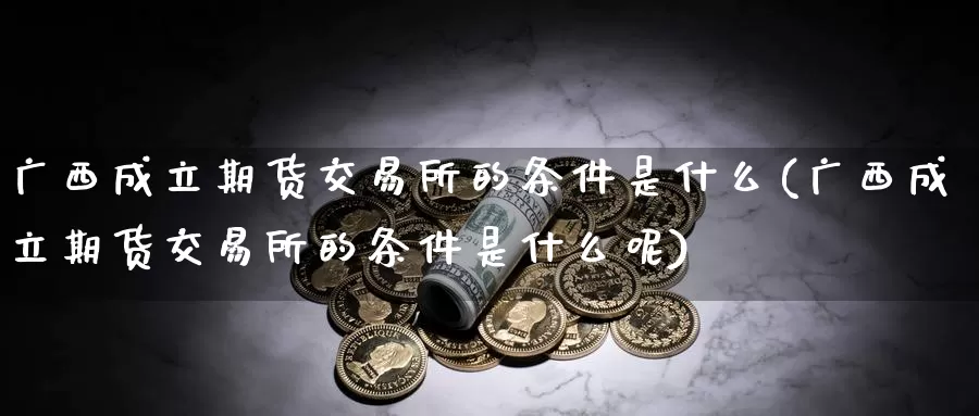 广西成立期货交易所的条件是什么(广西成立期货交易所的条件是什么呢)