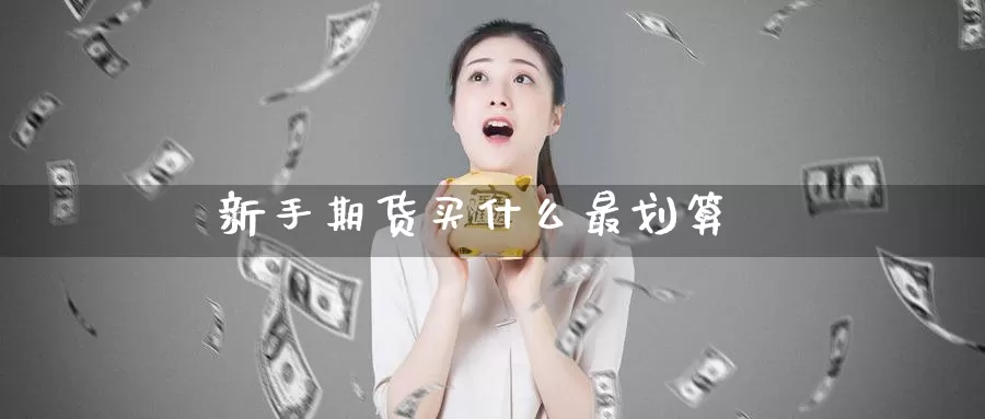 新手期货买什么最划算