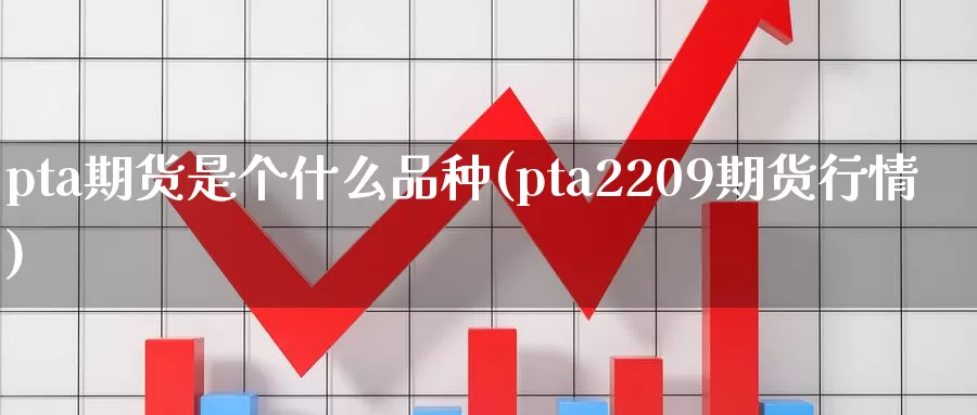 pta期货是个什么品种(pta2209期货行情)