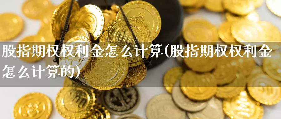 股指期权权利金怎么计算(股指期权权利金怎么计算的)