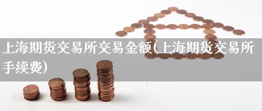 上海期货交易所交易金额(上海期货交易所手续费)