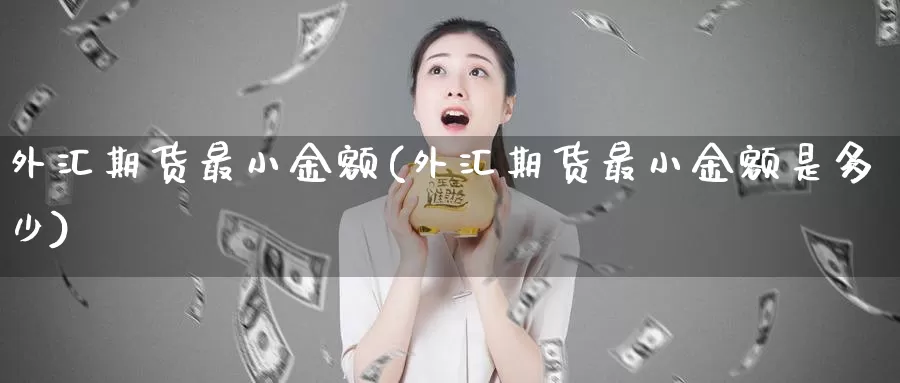 外汇期货最小金额(外汇期货最小金额是多少)