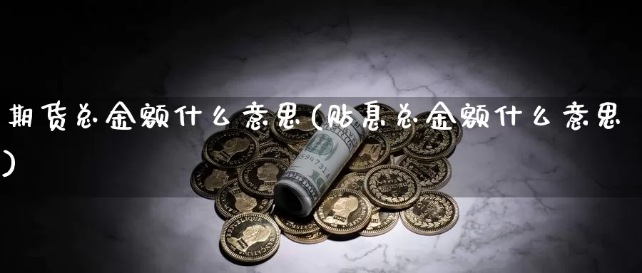 期货总金额什么意思(贴息总金额什么意思)