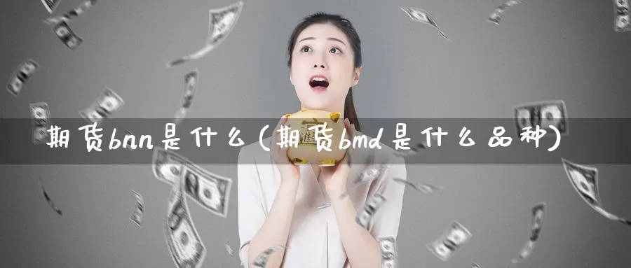 期货bnn是什么(期货bmd是什么品种)