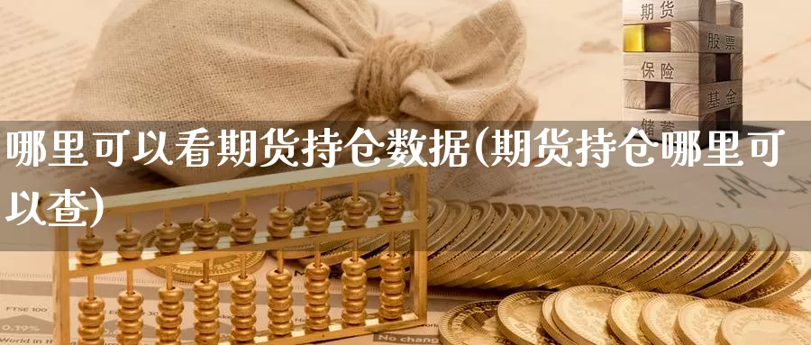 哪里可以看期货持仓数据(期货持仓哪里可以查)