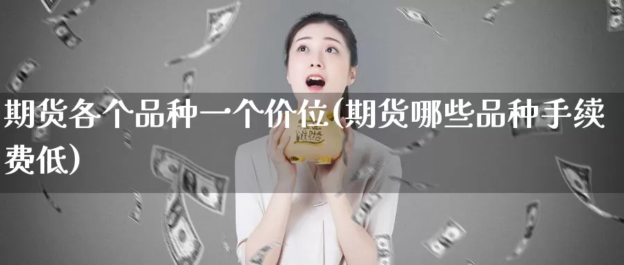 期货各个品种一个价位(期货哪些品种手续费低)