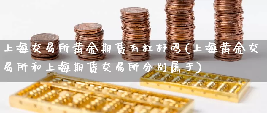 上海交易所黄金期货有杠杆吗(上海黄金交易所和上海期货交易所分别属于)