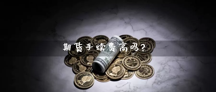 期货手续费高吗?