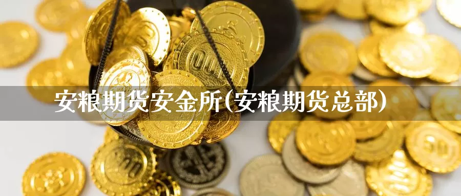 安粮期货安金所(安粮期货总部)