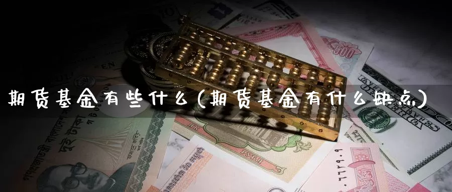 期货基金有些什么(期货基金有什么缺点)