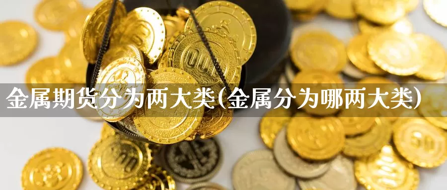 金属期货分为两大类(金属分为哪两大类)