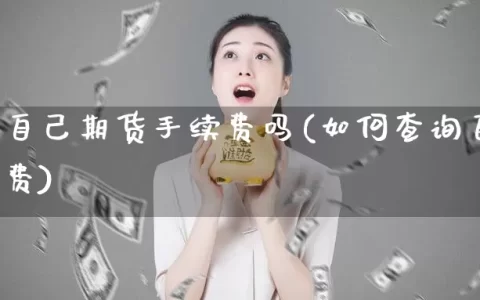 怎么查自己期货手续费吗(如何查询自己期货手续费)