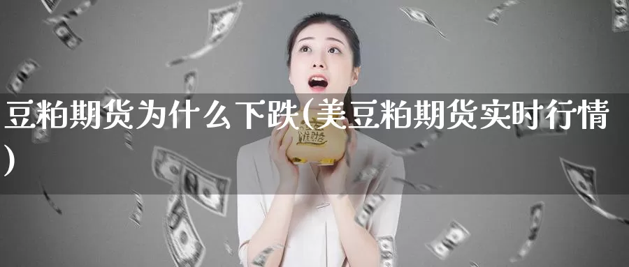 豆粕期货为什么下跌(美豆粕期货实时行情)