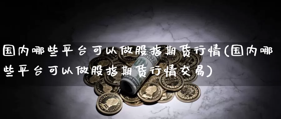 国内哪些平台可以做股指期货行情(国内哪些平台可以做股指期货行情交易)