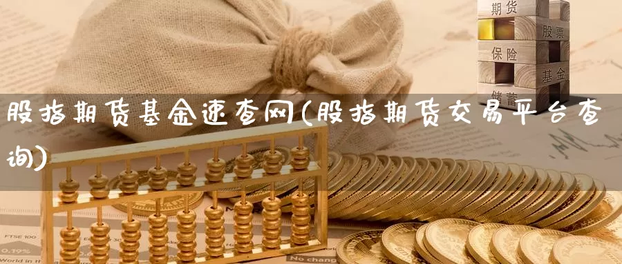 股指期货基金速查网(股指期货交易平台查询)