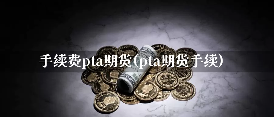 手续费pta期货(pta期货手续)