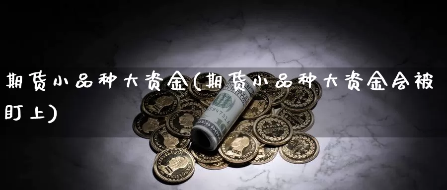 期货小品种大资金(期货小品种大资金会被盯上)