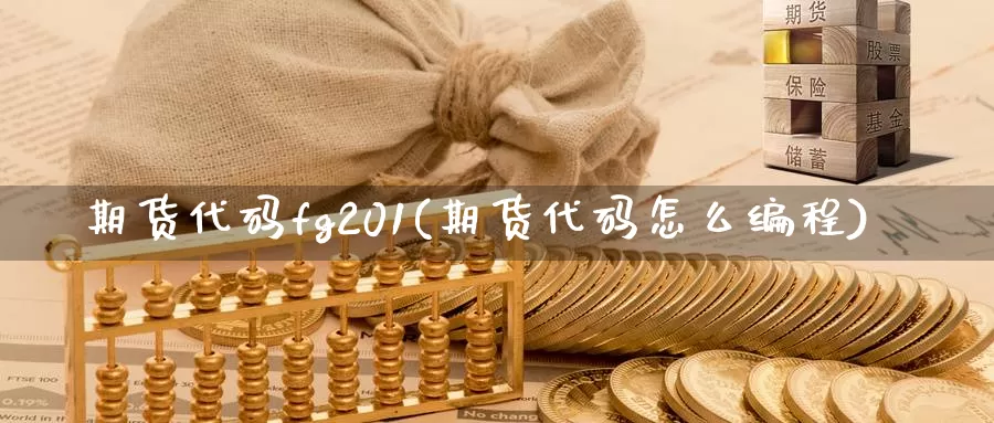 期货代码fg201(期货代码怎么编程)