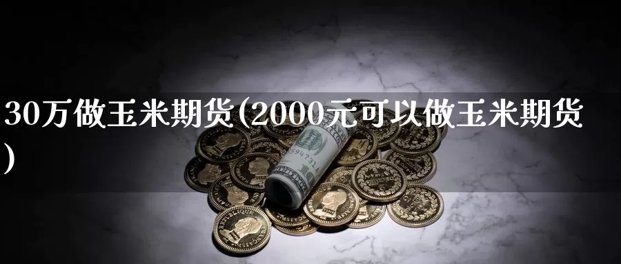 30万做玉米期货(2000元可以做玉米期货)