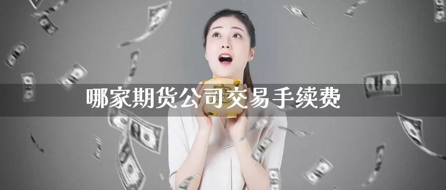 哪家期货公司交易手续费