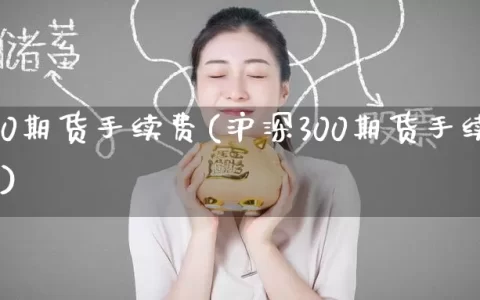 沪深300期货手续费(沪深300期货手续费是多少)