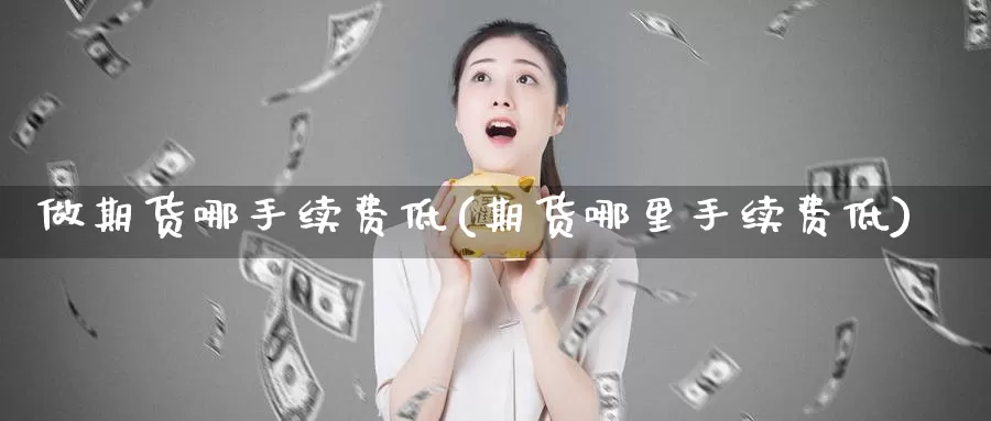 做期货哪手续费低(期货哪里手续费低)