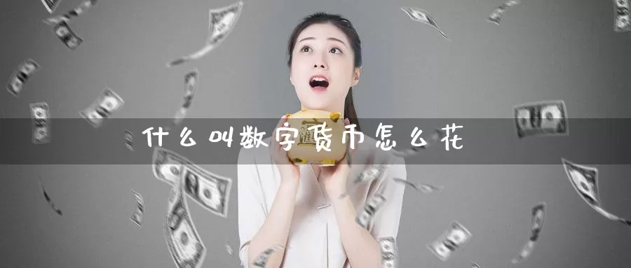 什么叫数字货币怎么花