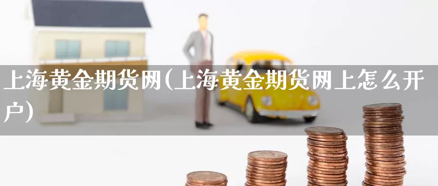 上海黄金期货网(上海黄金期货网上怎么开户)