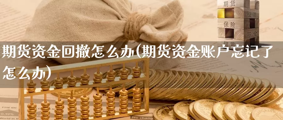 期货资金回撤怎么办(期货资金账户忘记了怎么办)