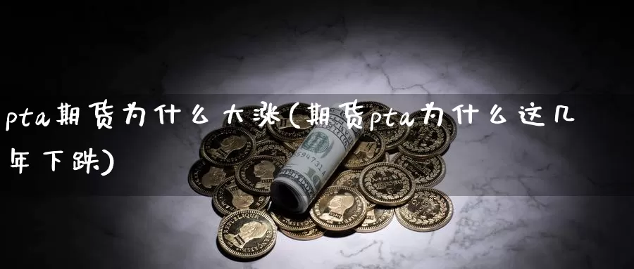 pta期货为什么大涨(期货pta为什么这几年下跌)