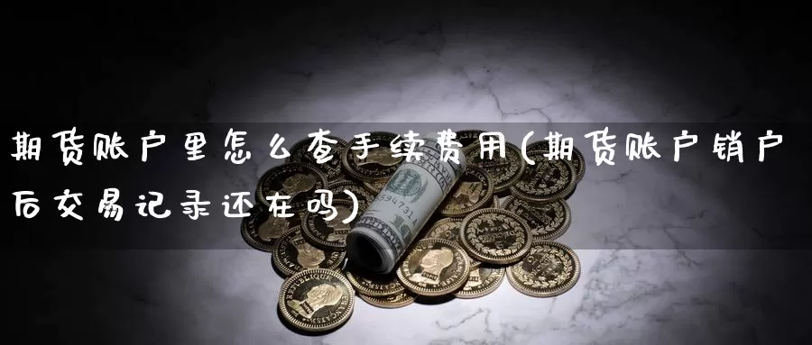 期货账户里怎么查手续费用(期货账户销户后交易记录还在吗)