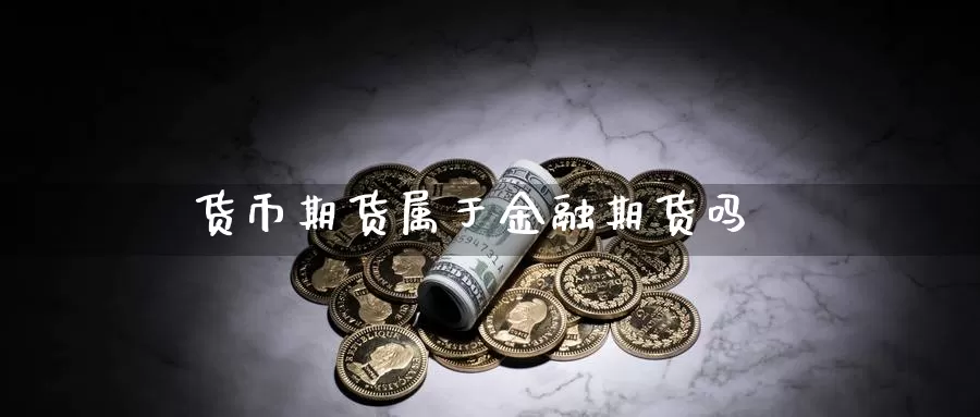 货币期货属于金融期货吗