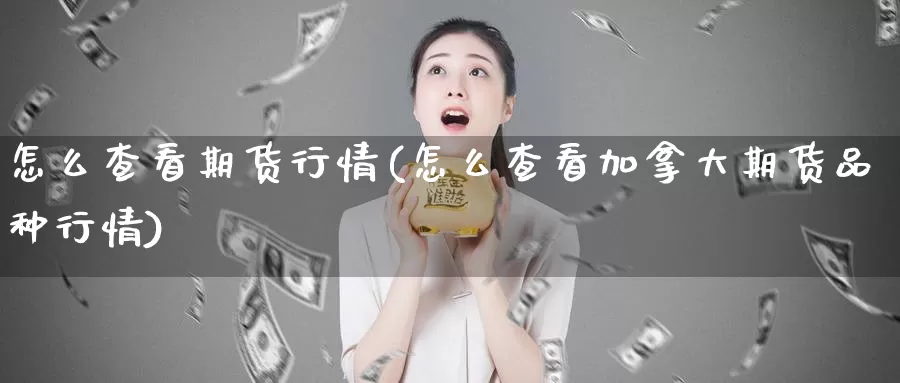 怎么查看期货行情(怎么查看加拿大期货品种行情)