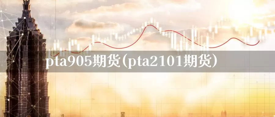 pta905期货(pta2101期货)