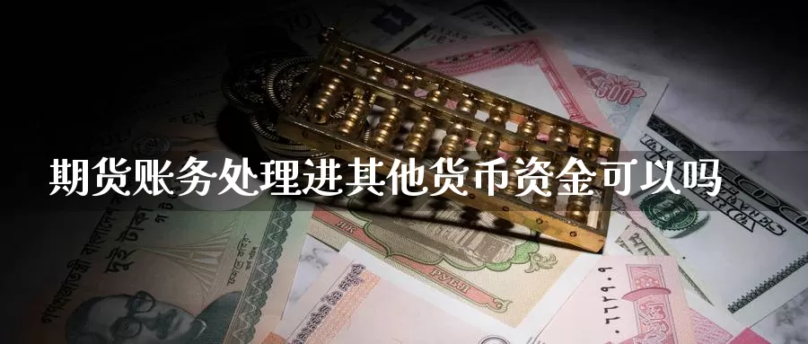 期货账务处理进其他货币资金可以吗