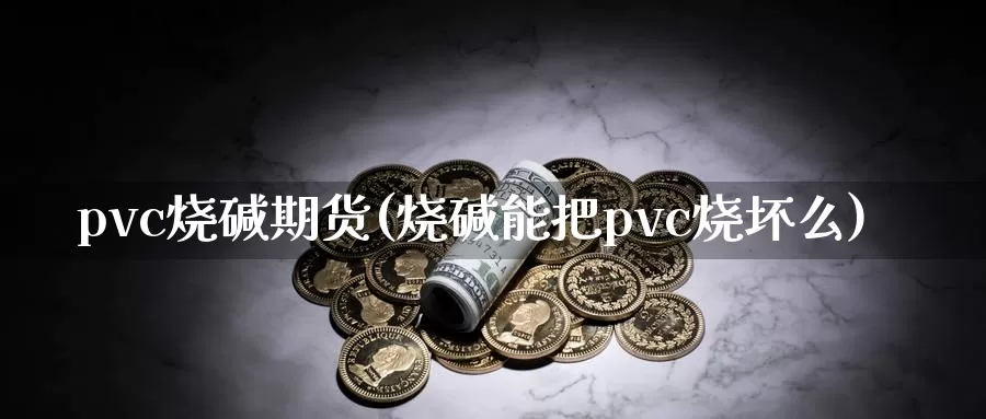 pvc烧碱期货(烧碱能把pvc烧坏么)