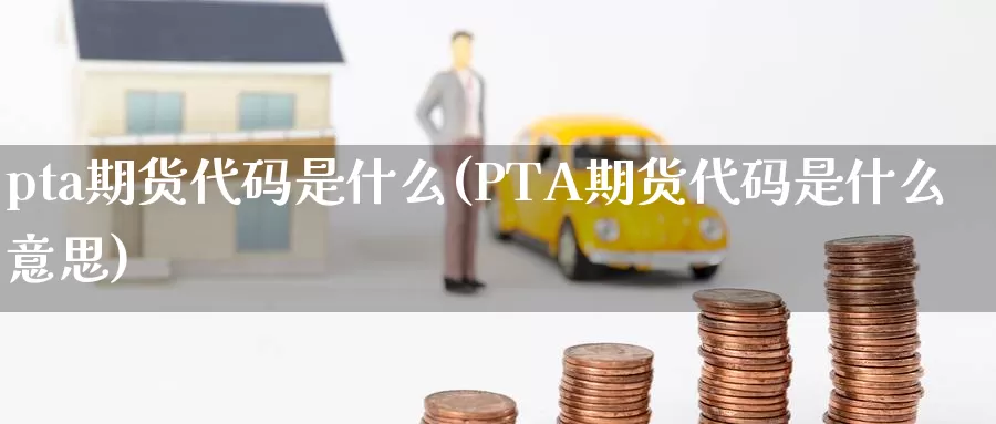 pta期货代码是什么(PTA期货代码是什么意思)