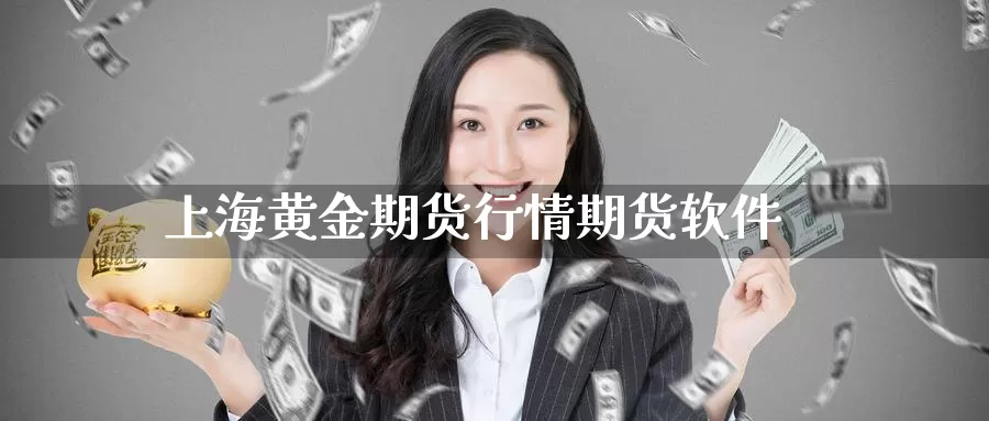 上海黄金期货行情期货软件