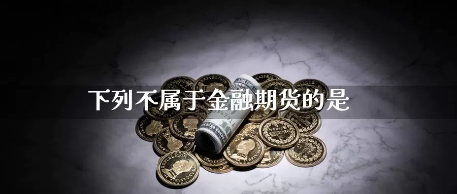 下列不属于金融期货的是