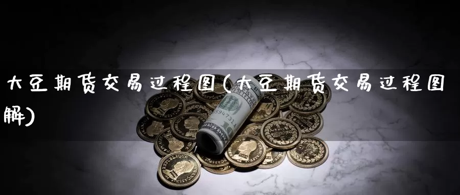 大豆期货交易过程图(大豆期货交易过程图解)